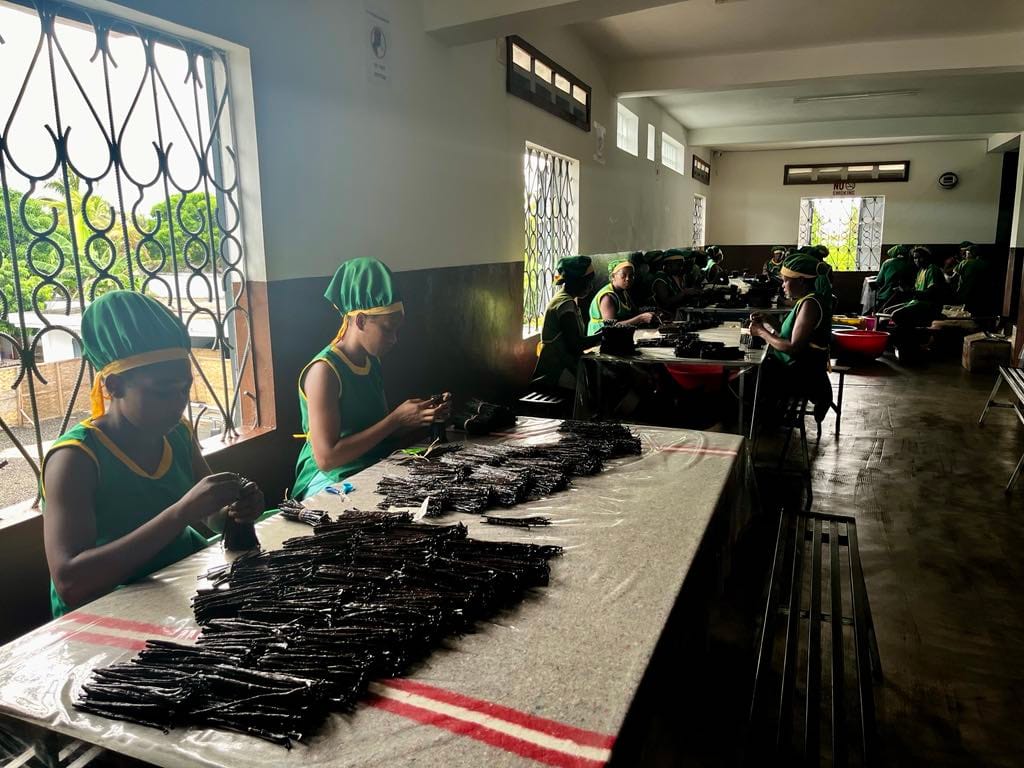 aef4a386-d8e0-4555-8a34-8596da5f20b0