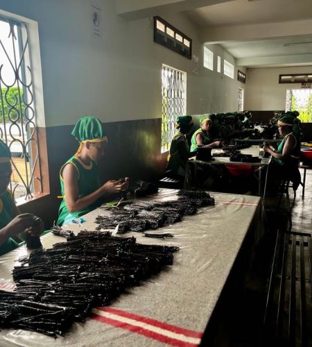 aef4a386-d8e0-4555-8a34-8596da5f20b0